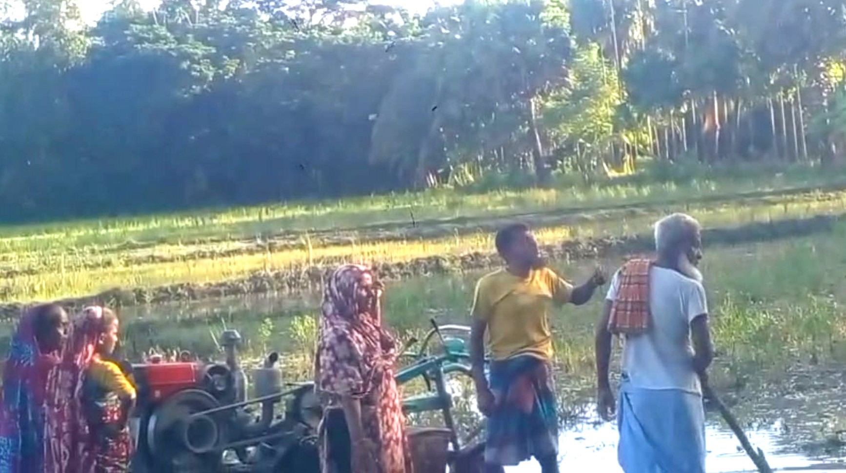 নোয়াখালীতে হামলা চালিয়ে ভাই-বোনের সম্পত্তি দখল, প্রতিবাদে মানববন্ধন