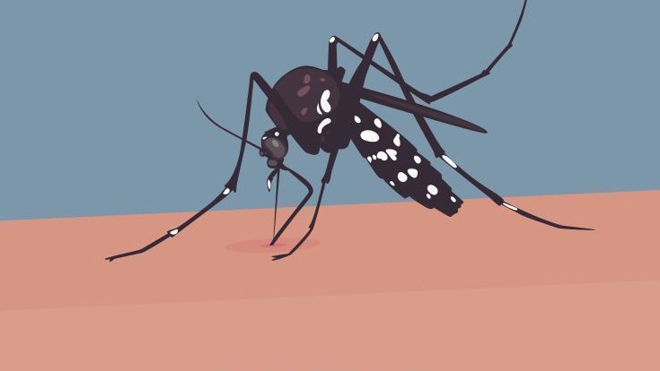 ৭০ হাজার ছাড়াল ডেঙ্গুতে আক্রান্ত রোগীর সংখ্যা