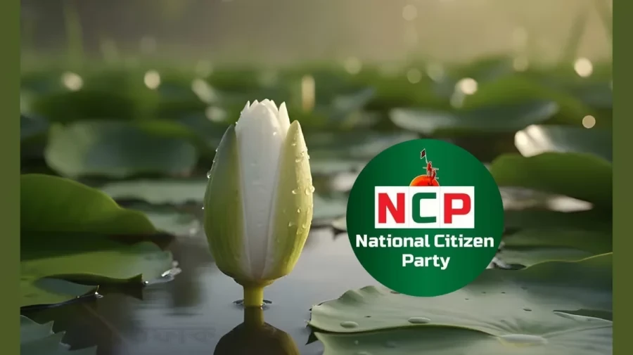 প্রতীক হিসেবে ‘শাপলা কলি’ নিতে সম্মত এনসিপি