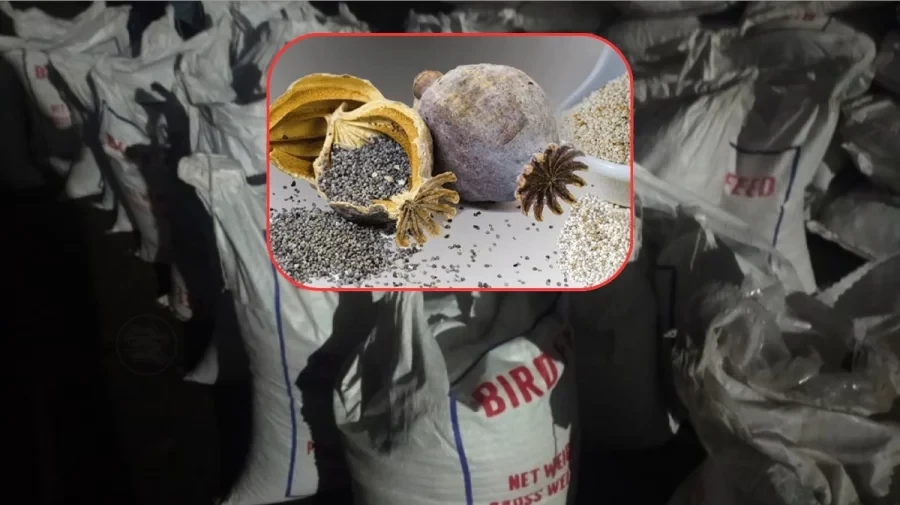 পাকিস্তান থেকে পাখির খাদ্যের আড়ালে এল নিষিদ্ধ পপি বীজ